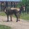Tamboti Farm Self-Catering Accommodation