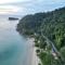 Beach Jungle