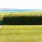 Howe Holiday homes