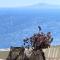 Villa Alisachni Andros