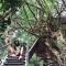 Foto: Dao Anh Khanh Tree House 71/90