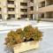 El Oasis By Solymar Properties