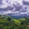 Munnar Valley View
