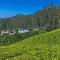Munnar Valley View