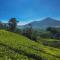 Munnar Valley View