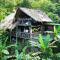 Finca La Selvita Chocolate experience