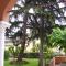 La Casa di Nazareth