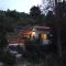A tiny sea home in the wilderness