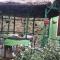 Green House