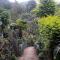 Green House