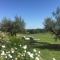 Tenuta Di Paternostro