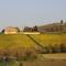 Cascina tra le vecchie vigne con piscina