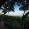 PawPaw Resort