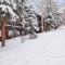 Aspen Mountain Condominiums 1C