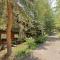 Aspen Mountain Condominiums 1C