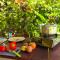 Ferntree Rainforest Lodge