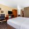 Comfort Inn & Suites North Aurora - Naperville