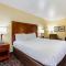 Comfort Inn & Suites North Aurora - Naperville