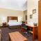 Comfort Inn & Suites North Aurora - Naperville