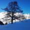 Maison Sarteur Alloggio ad uso turistico -VDA-LA THUILE- 0065