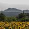 Chambres dHôtes Aux Tournesols