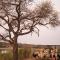 Kruger Lodge Mjejane - Luxury Family Villa in Greater Kruger