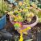 GARDEN HOLiDAY GARDEN HOLiDAY