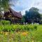 Leokap Homestay