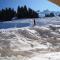 Valmorel, 2 pièces au pied des pistes avec terrasse, cuisine équipée et animaux admis - FR-1-356-318