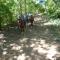 Jardines del Golfo