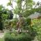 รีสอร์ทที่ลำปาง (Resort At Lampang)