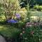 Maison Les Volets Bleus Binic