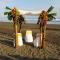 Hotel Delfin Playa Bejuco