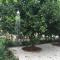 Best location in Vrachati