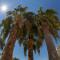 Rawda Resort Hotel Altinoluk