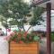 Darja Guesthouse