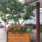 Darja Guesthouse