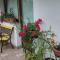Darja Guesthouse