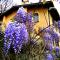 La Locanda del Borgo