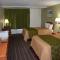 Rodeway Inn Stone Mountain
