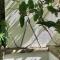 3 Bed in Kingswear oc-sdomeg