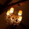 Guesthouse Vakantie Logies Hollywood