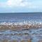 Seaways Cottage Hoylake