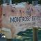 Montrose Estate