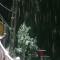 Shaantvan Homestay-Near Bhalughar Waterfall-Mukteshwar