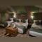 Sunshine luxury desert camp