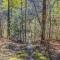 Cabin at Sleepy Creek - Creek Access, Wifi, Pet Friendly, Fire Pit, Charcoal Grill, Screen Porch, Wood Stove, Deck, Family Friendly