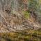 Cabin at Sleepy Creek - Creek Access, Wifi, Pet Friendly, Fire Pit, Charcoal Grill, Screen Porch, Wood Stove, Deck, Family Friendly