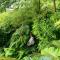 Harmony Botanical Garden Stay - 300 Plant Species, Natural Stream and Small Pool