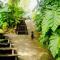 Harmony Botanical Garden Stay - 300 Plant Species, Natural Stream and Small Pool